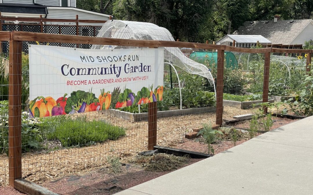 Fighting Global Warming with Community Gardens